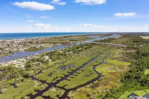 6 Signet Cir, Flagler Beach, FL 32136 - Photo 62