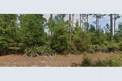 148 Arden Street, Georgetown, FL 32139 - Photo 2