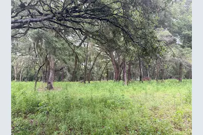 890 Grand Rondo W, Crescent City, FL 32112 - Photo 14