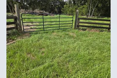 890 Grand Rondo W, Crescent City, FL 32112 - Photo 2