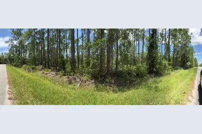 2914 Avocado Boulevard, Bunnell, FL 32110 - Photo 8
