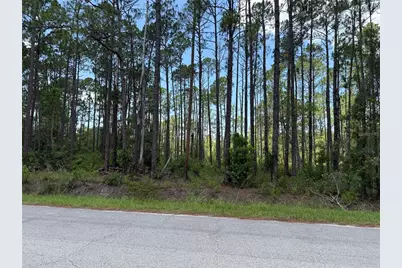 2914 Avocado Boulevard, Bunnell, FL 32110 - Photo 2