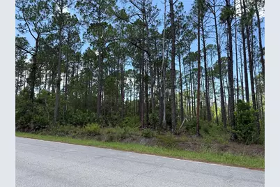 2914 Avocado Boulevard, Bunnell, FL 32110 - Photo 4