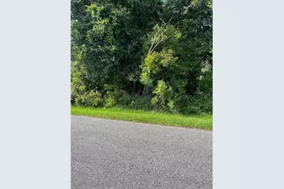 10 Buffalo Meadow Lane, Palm Coast, FL 32137 - Photo 1