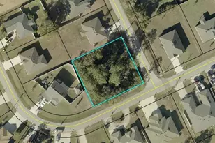64 Frenora Ln, Palm Coast, FL 32137 - Photo 1