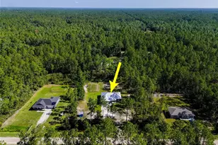 4220 Palatka Blvd, Hastings, FL 32145 - Photo 2