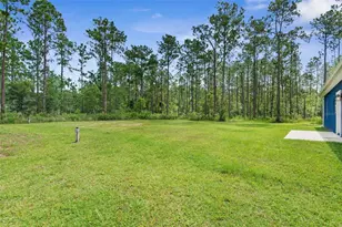 4220 Palatka Blvd, Hastings, FL 32145 - Photo 38