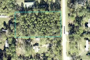 2828 Briarwood St, Bunnell, FL 32110 - Photo 1