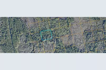 Unimproved, Oak Hill, FL 32759 - Photo 1