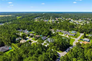 6 Unicorn Ct, Palm Coast, FL 32164 - Photo 30