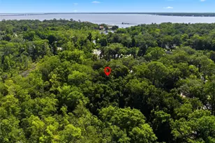2406 Elbow Rd, Orange Park, FL 32073 - Photo 16
