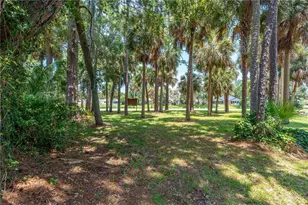 4523 Nettle Creek Ct, Port Orange, FL 32127 - Photo 36