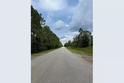 10620 Delgado Avenue, Hastings, FL 32145 - Photo 6