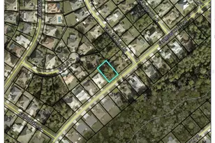 69 Farmsworth Dr, Palm Coast, FL 32137 - Photo 1