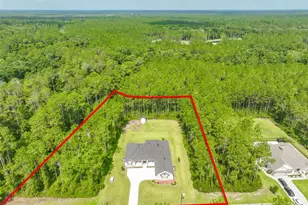 2505 Cabbage Hammock Rd, Saint Augustine, FL 32092 - Photo 2