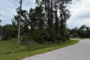 25 Kaywood Pl, Palm Coast, FL 32164 - Photo 1