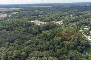104 W Louis Broer Rd, East Palatka, FL 32131 - Photo 10