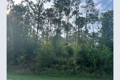 85 Whittington Drive, Palm Coast, FL 32164 - Photo 4