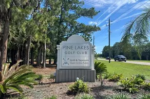 17 White Haven Ln, Palm Coast, FL 32164 - Photo 42