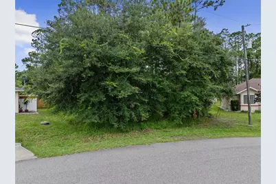 89 Ryecliffe Drive, Palm Coast, FL 32164 - Photo 2