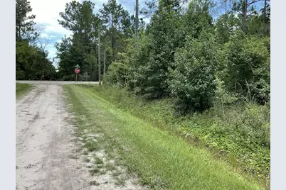 10210 Vaughan Avenue, Hastings, FL 32145 - Photo 2