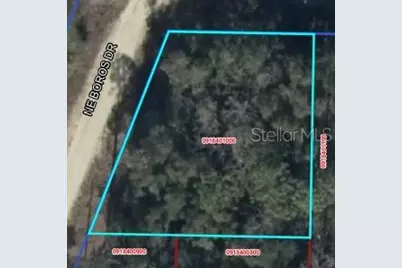0 NE 11th Street, Williston, FL 32696 - Photo 2