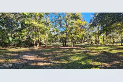 680 E Black Point Road, Bunnell, FL 32110 - Photo 1