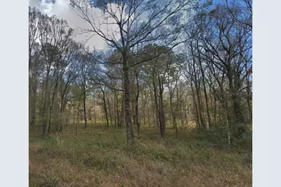 10300 Stycket Avenue, Hastings, FL 32145 - Photo 1