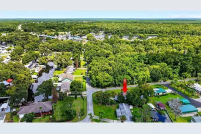 55707 Jamie Drive, Astor, FL 32102 - Photo 42