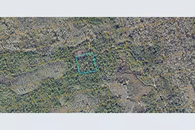 No Street, Oak Hill, FL 32759 - Photo 1