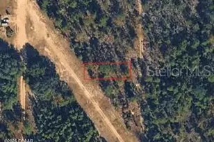 Xx N Lakeview Dr Lot 142/4, Interlachen, FL 32148 - Photo 1
