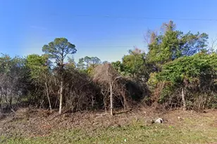 88 Flamingo Dr, Palm Coast, FL 32137 - Photo 1