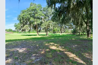 Blackburn Road, Pierson, FL 32180 - Photo 10