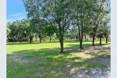 Blackburn Road, Pierson, FL 32180 - Photo 12