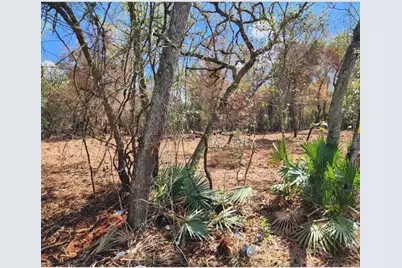 20445 SE 156th St Street, Umatilla, FL 32784 - Photo 4
