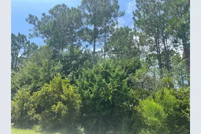 31 Bunker Knolls Lane, Palm Coast, FL 32137 - Photo 4