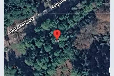 131 Edgemere Drive, Georgetown, FL 32139 - Photo 1