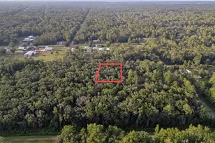 4715 Alvin St, Hastings, FL 32145 - Photo 1