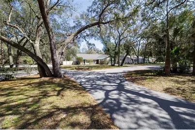 317 Oak Fern Circle, Ormond Beach, FL 32174 - Photo 2