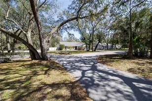 317 Oak Fern Cir, Ormond Beach, FL 32174 - Photo 2