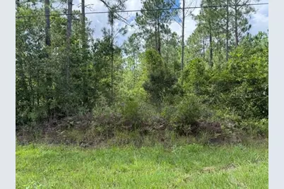 2724 Lancewood Street, Bunnell, FL 32110 - Photo 2