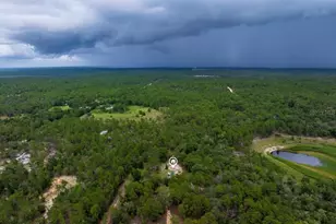 112 Birchdale Trail, Hawthorne, FL 32640 - Photo 26