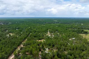 112 Birchdale Trail, Hawthorne, FL 32640 - Photo 28