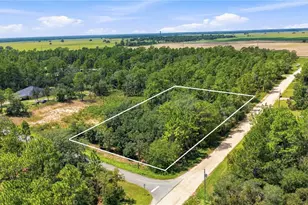 Lot 14 SW 81 St & SW 137th Ct, Dunnellon, FL 34432 - Photo 1