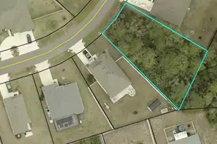 55 Sentinel Trl, Palm Coast, FL 32164 - Photo 1