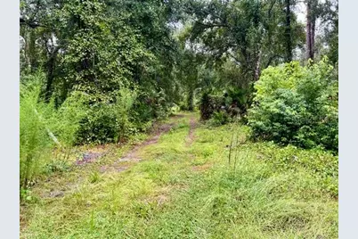 Xxx Water Oak Road, Bunnell, FL 32110 - Photo 4
