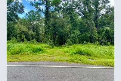 Xxx Water Oak Road, Bunnell, FL 32110 - Photo 2