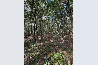 1166 Honeytree Street, Bunnell, FL 32110 - Photo 6