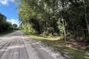 1166 Honeytree St, Bunnell, FL 32110 - Photo 1