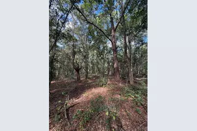 1166 Honeytree Street, Bunnell, FL 32110 - Photo 4